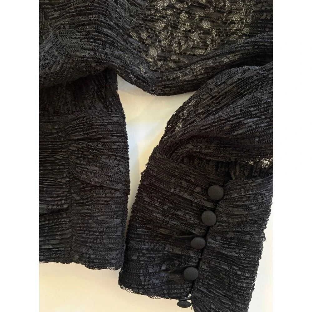 Zara Black Lace Crop Top High Neck Tie Sheer Long Sleeve Blouse Women's M